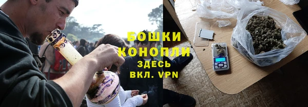 apvp Гусь-Хрустальный