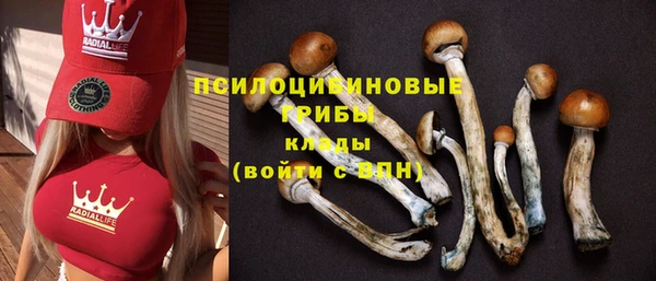 соль курить ск Гусев
