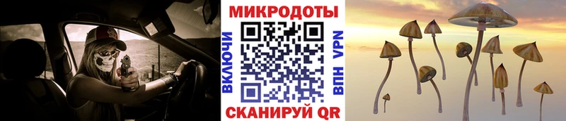 цена   Полесск  Псилоцибиновые грибы прущие грибы 
