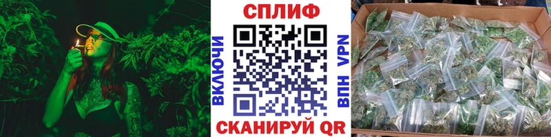наркота Полесск Бошки марихуана конопля